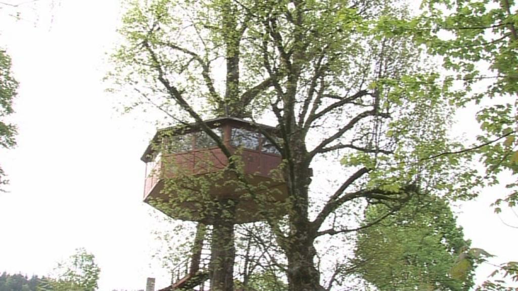 Switzerland's Only Tree Top B&B - SWI Swissinfo.ch