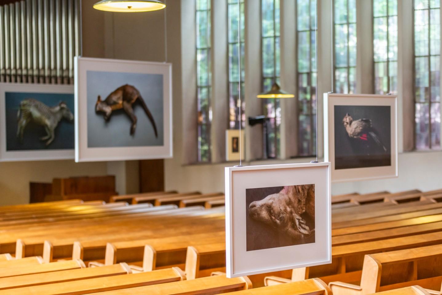 cornici con fotografie appese all interno di una chiesa