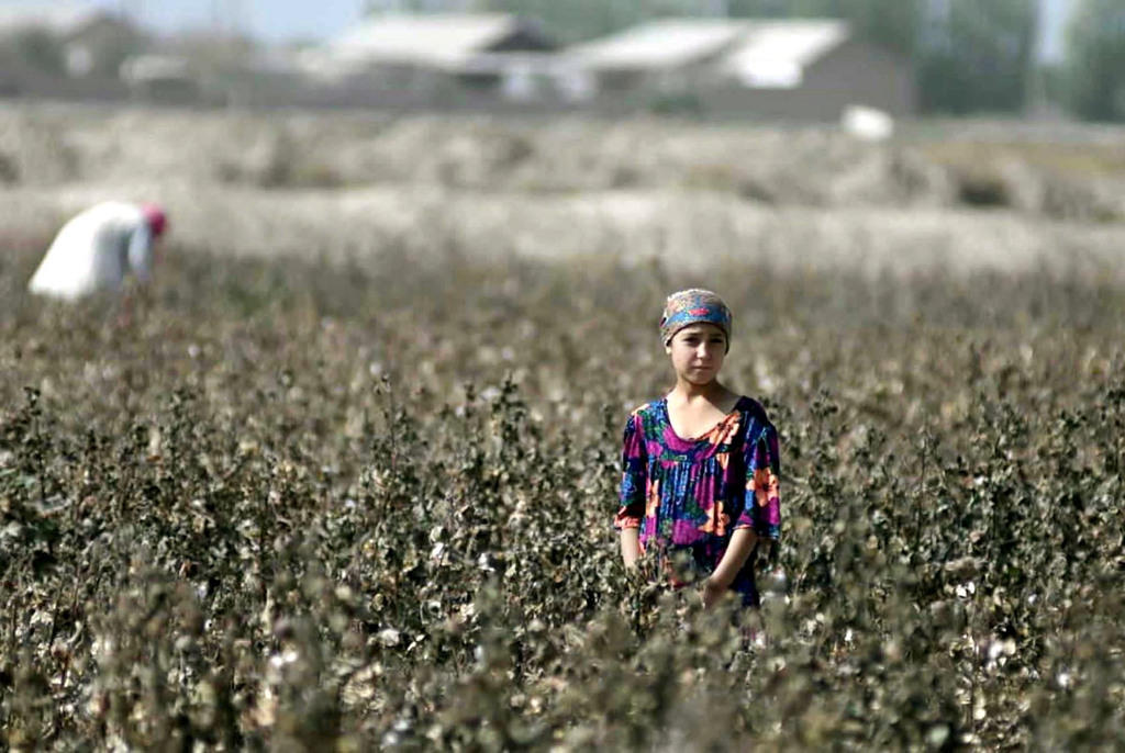 فتاة وسط مزرعة للقطن في أوزباكستان