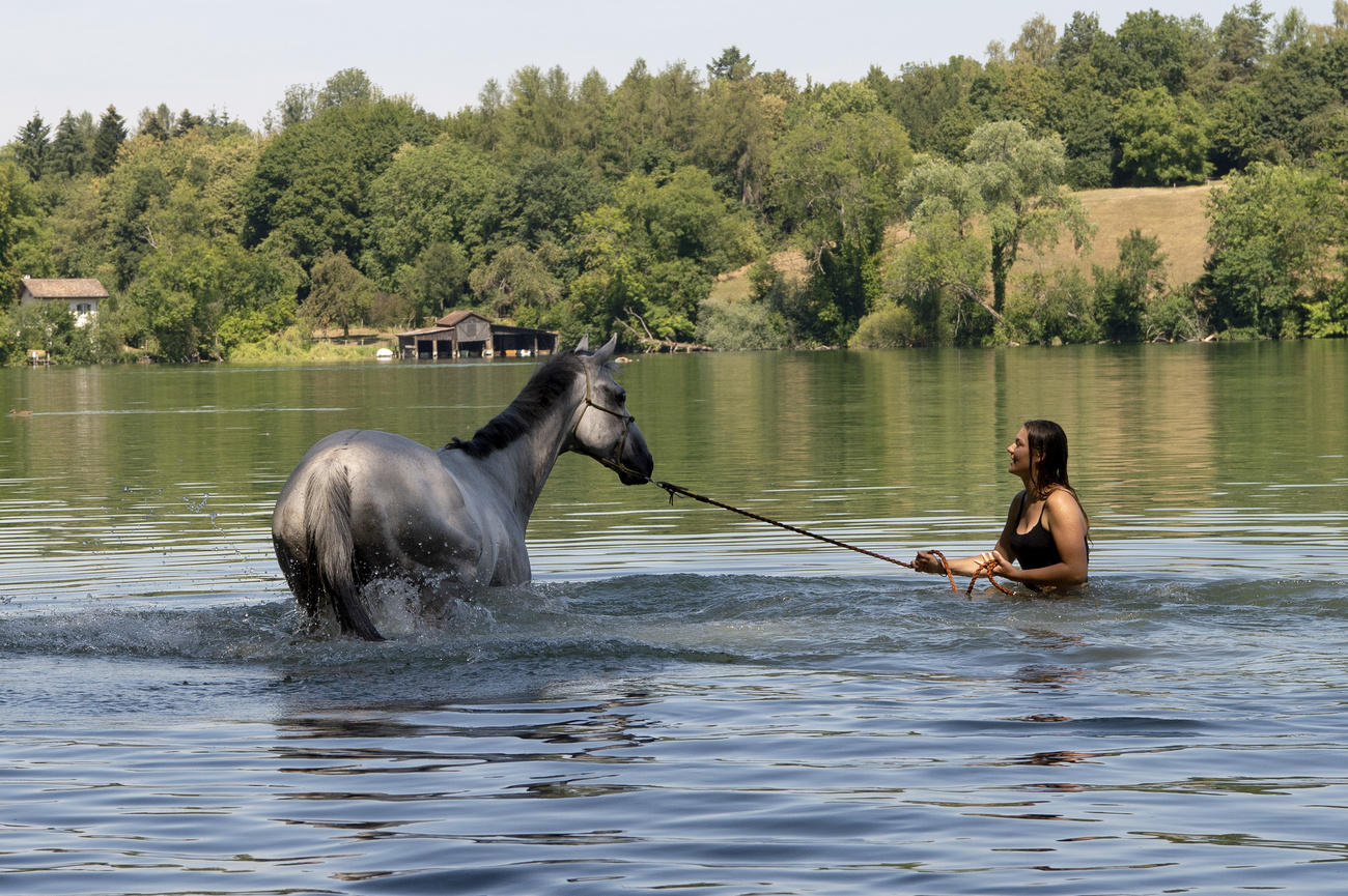 женщина купает коня в озере