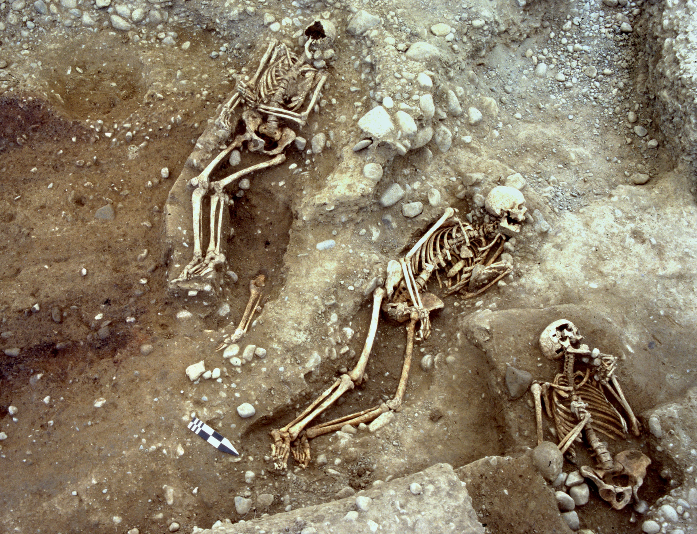 Drei Skelette im Boden