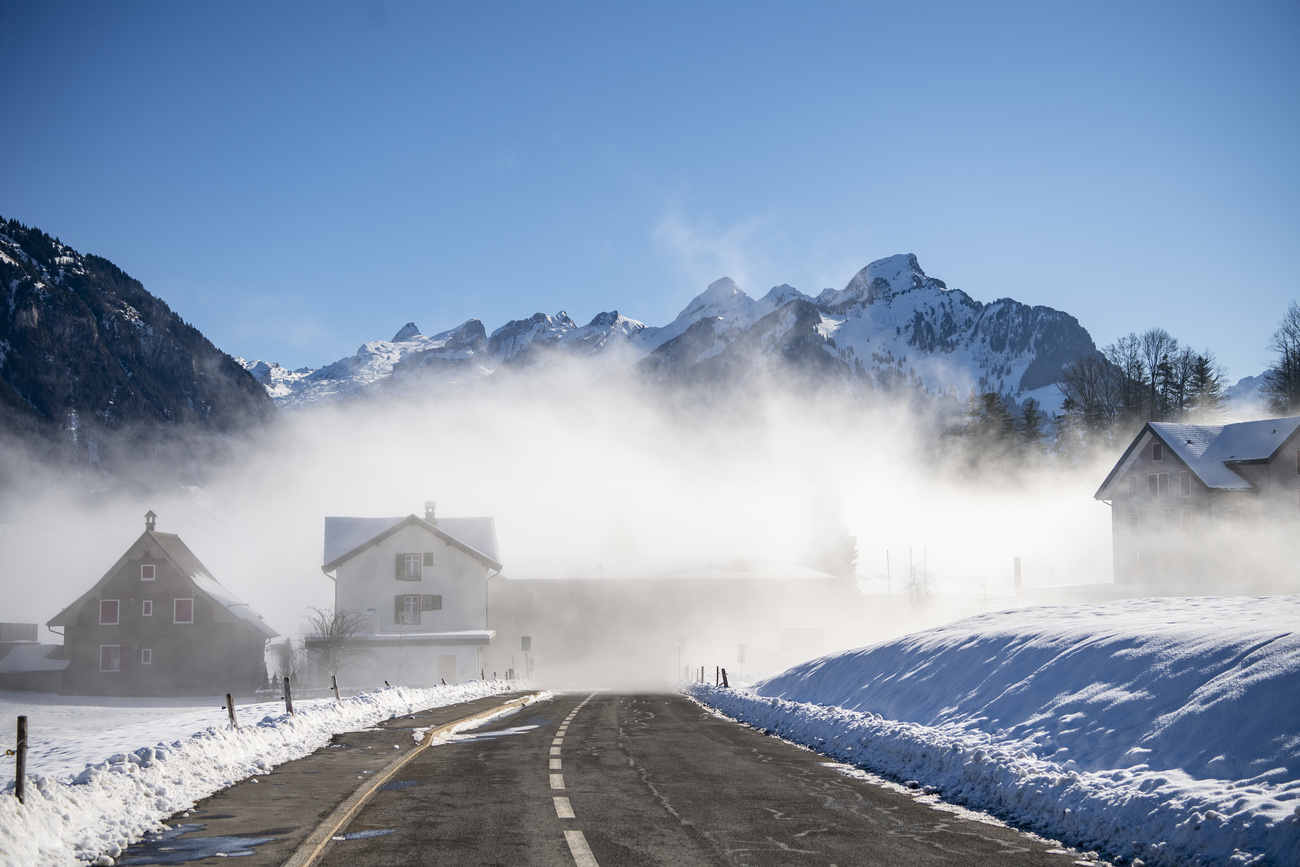 snowy and misty road