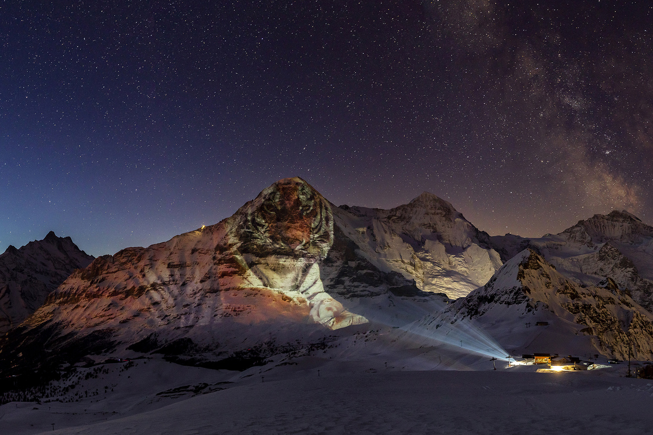 Tiger on the Eiger