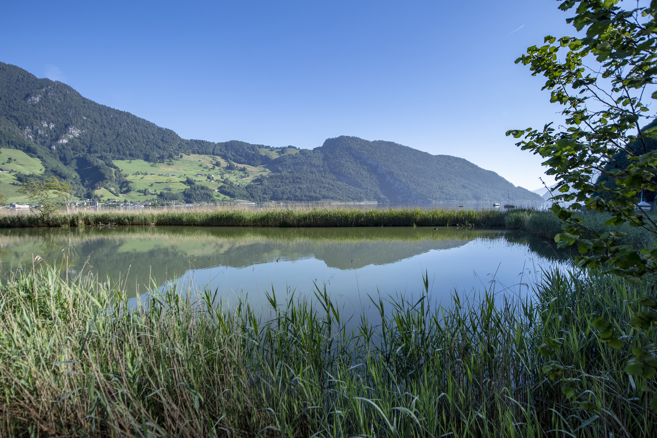 laghi