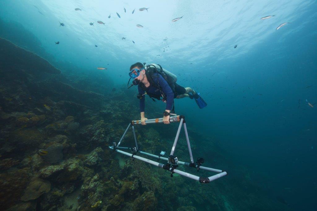 研究任務之一是利用最先進的人工智能和機器學習技術繪製3D珊瑚礁地圖。