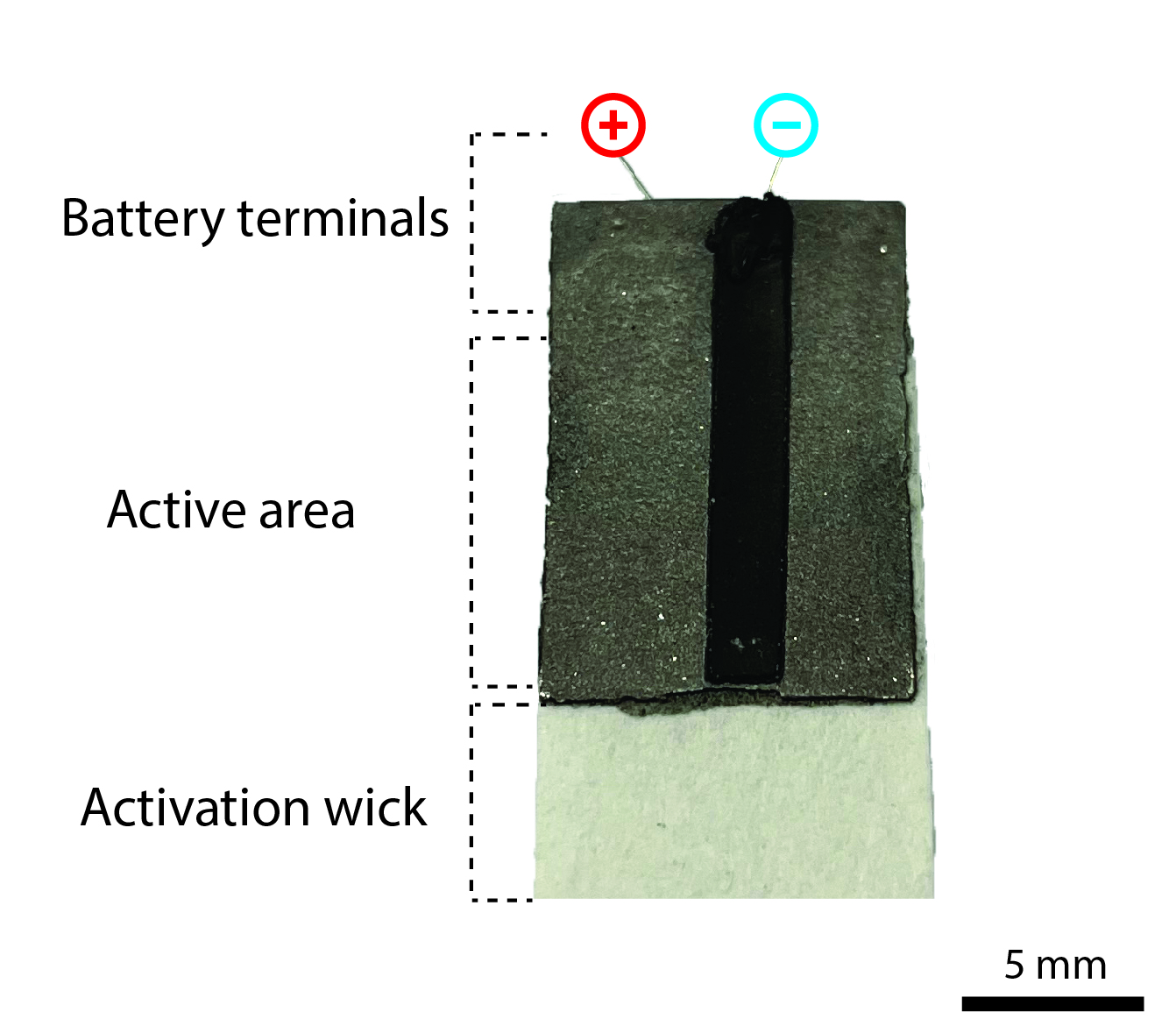 Bateria de papel EMPA