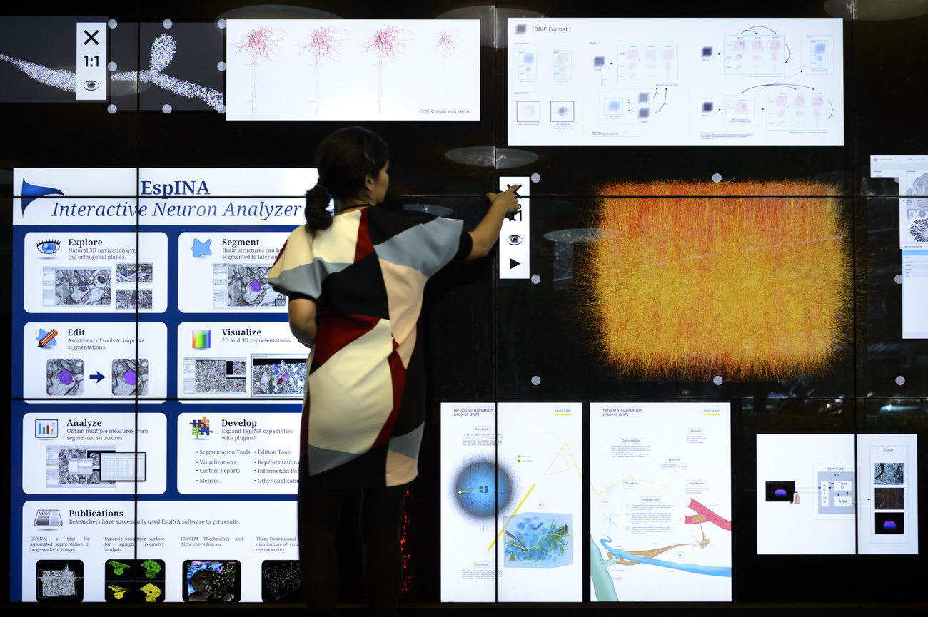 Mujer mirando una pantalla con los resultados de un proyecto sobre el cerebro humano