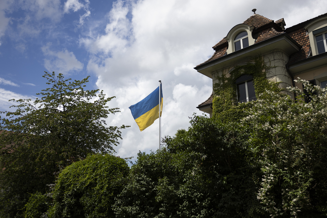 ukrainian flag