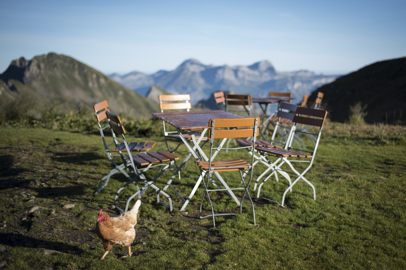 Table and chairs on a mountain