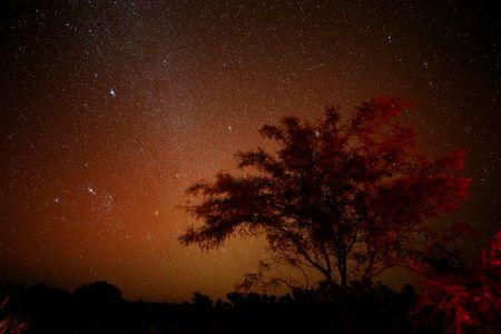 In South America s remote Chaco deforestation uproots natural