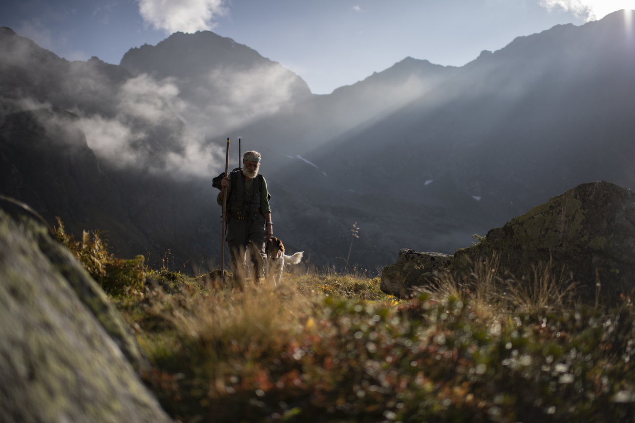 Man walks in the Swiss mountains with his dog