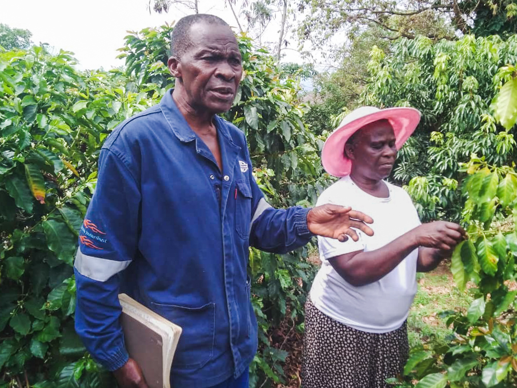 Coffee farmer David Muganyuraand his wife in a coffee farm