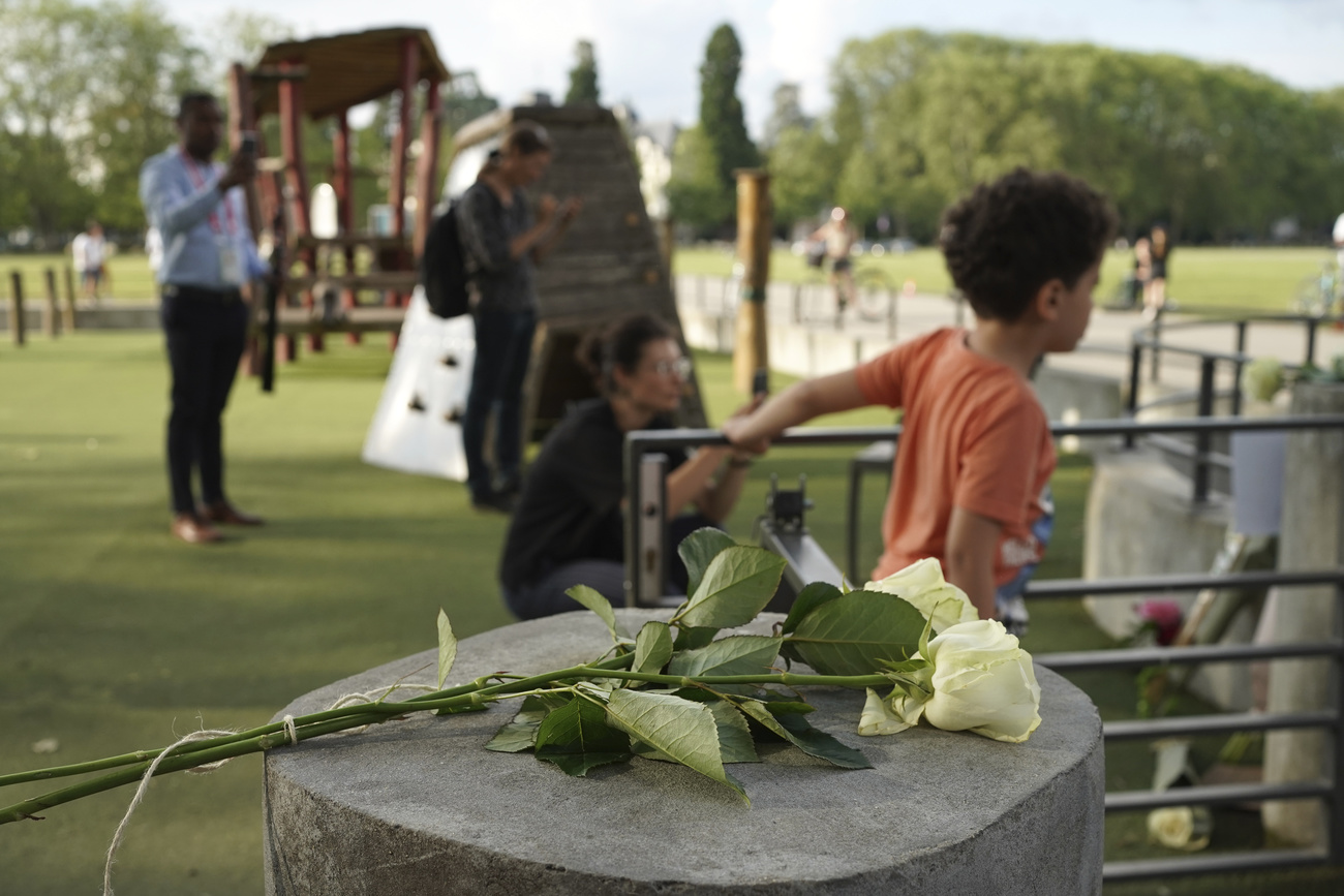 Photo of a park with children in the background and white roses in the foreground