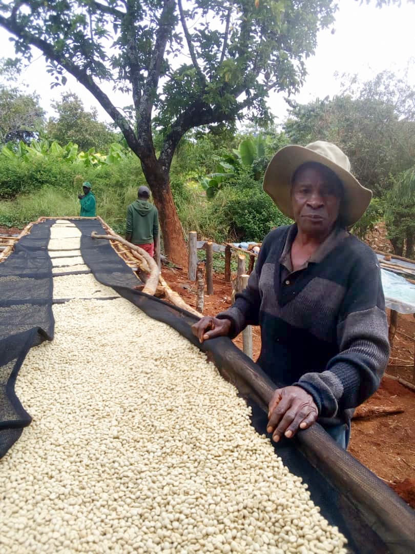Coffee farmer Muganyuri working on his farm