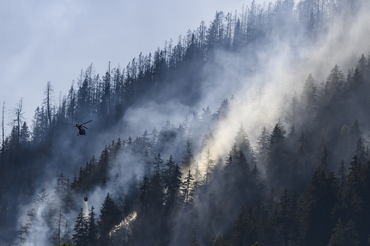 Helicopter doused the forest fire near to Bitsch, Switzerland.