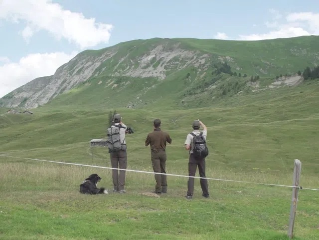 الحراس يراقبون كل حركة في الجبل