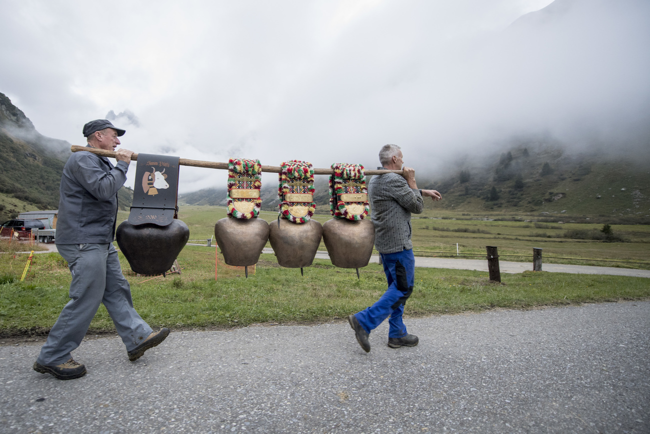 Swiss culture now officially includes cow bell casting