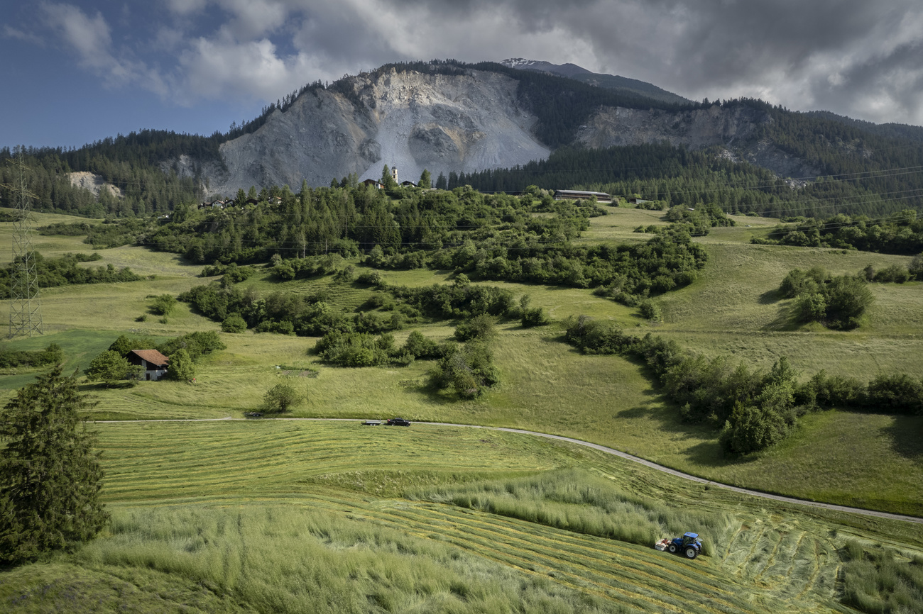 Un trattore in un campo verde.