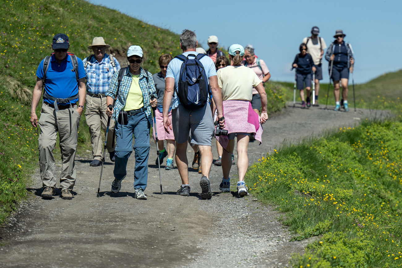 Wanderinnen und Wanderer