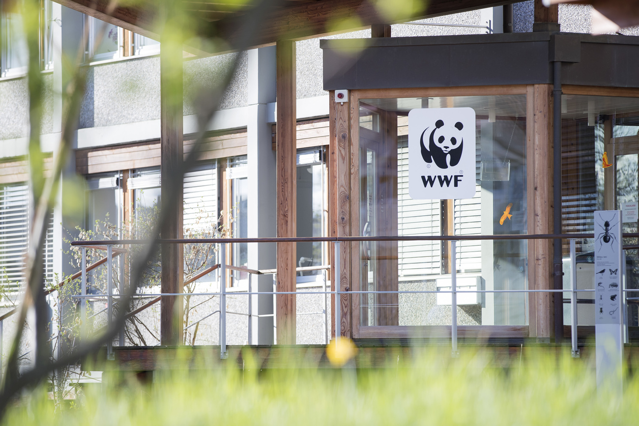 WWF HQ