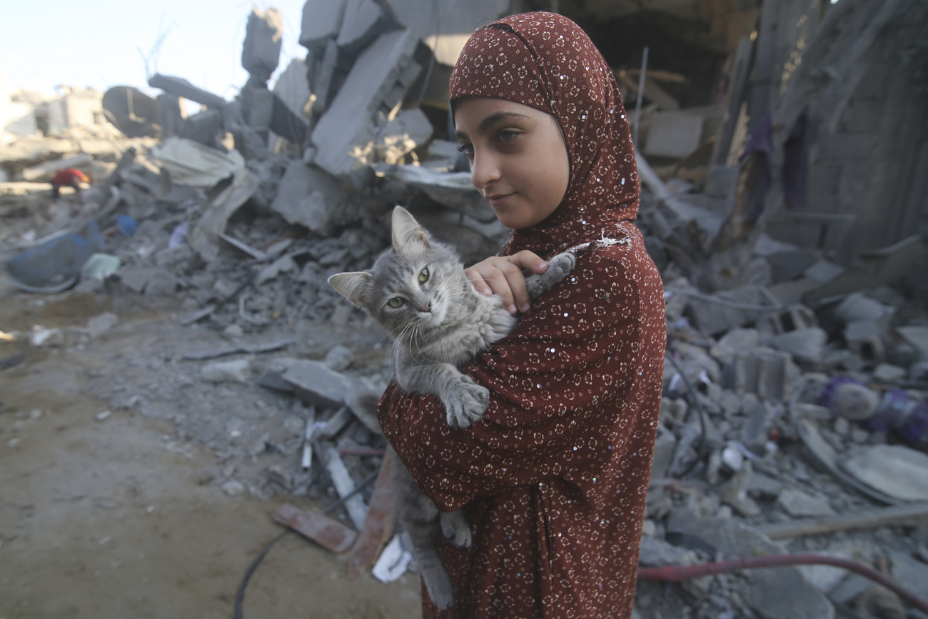 فتاة فلسطينية تنقذ قطتها من تحت أنقاض المباني المدمرة بعد الغارات الجوية الإسرائيلية