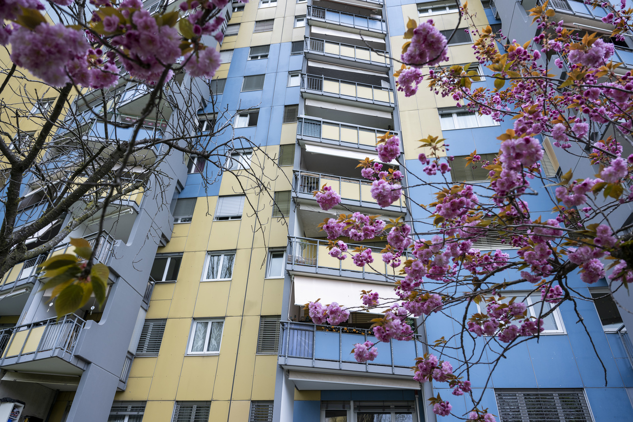高层建筑和潜在高房租：日内瓦附近的公寓。