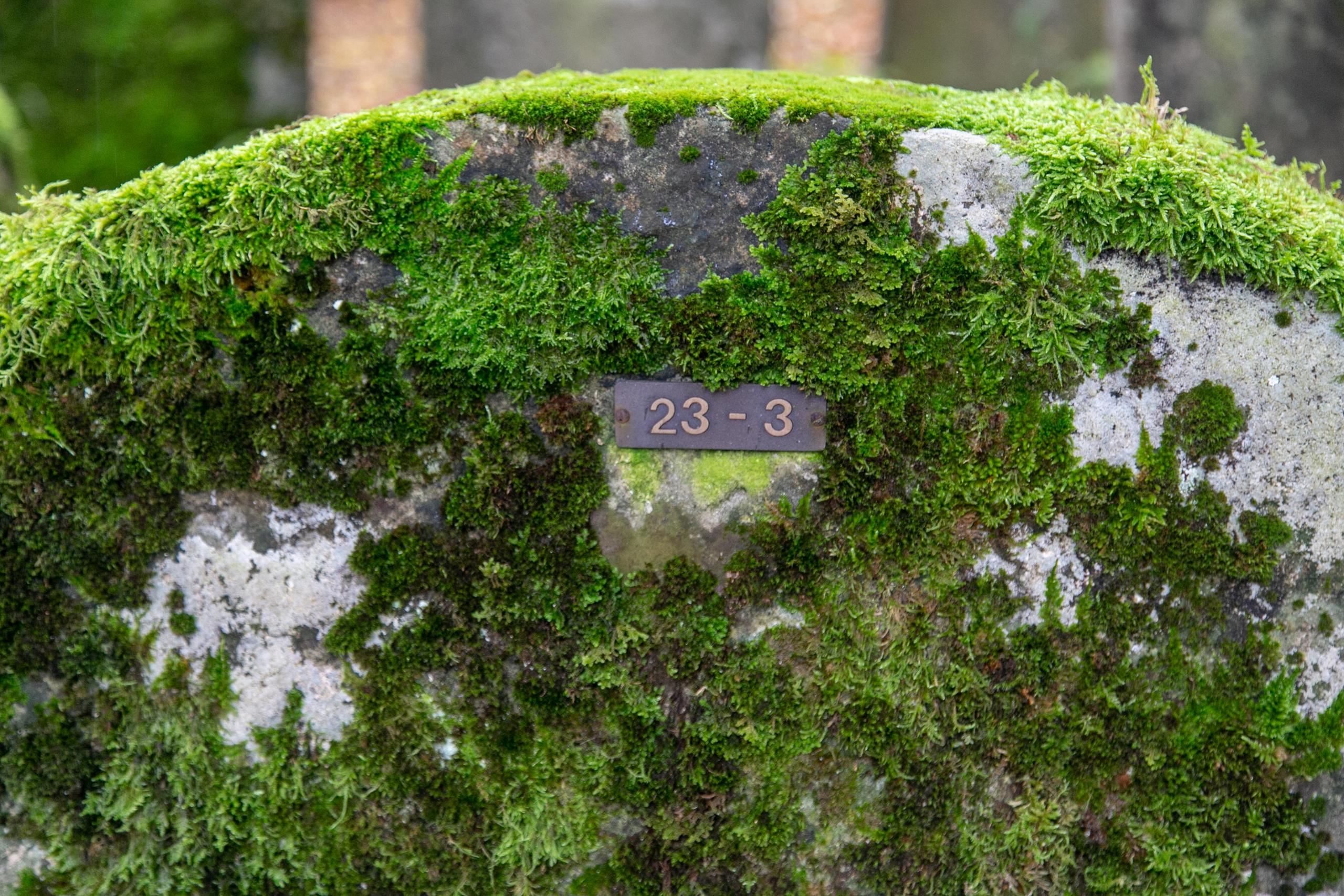 Rückansicht und Nummer auf Grabstein