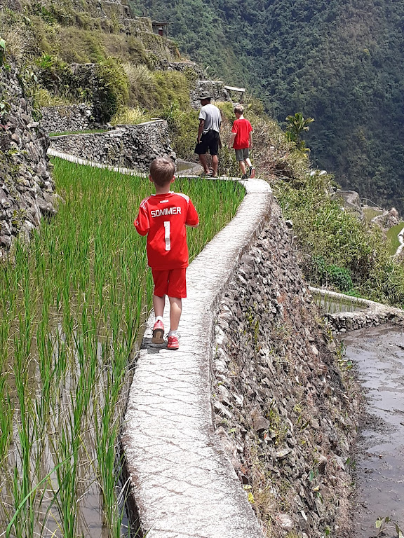 Bambini con maglia rossa su un percorso tra le risaie.