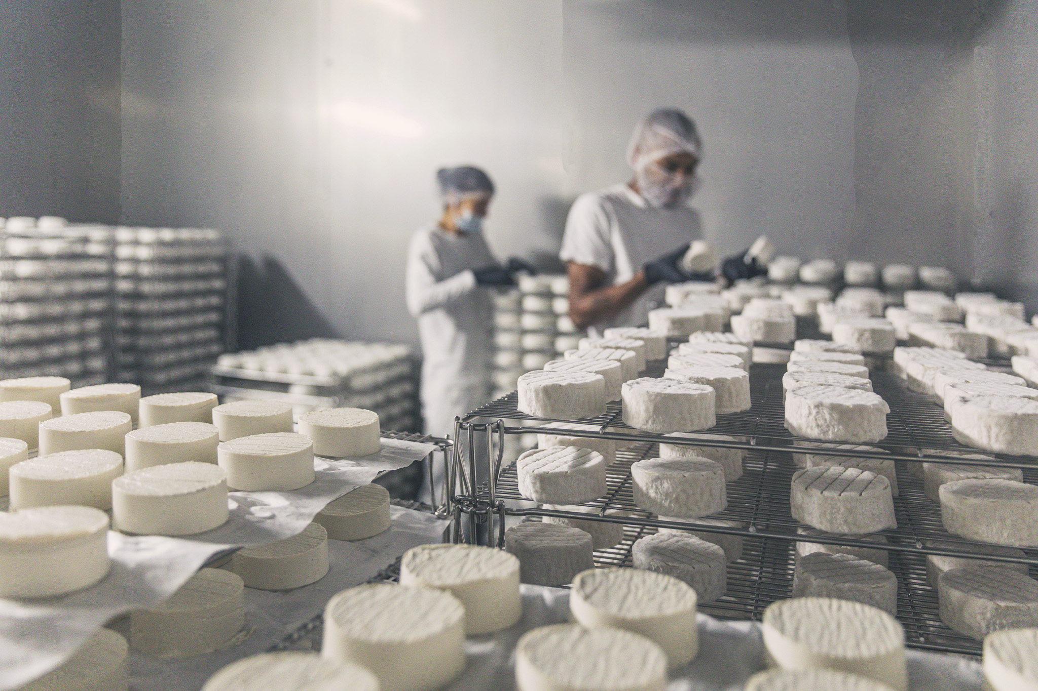 Семейное предприятие New Roots производит, причем с прибылью, веганский сыр, однако на его пути стоит могущественное молочное лобби.
