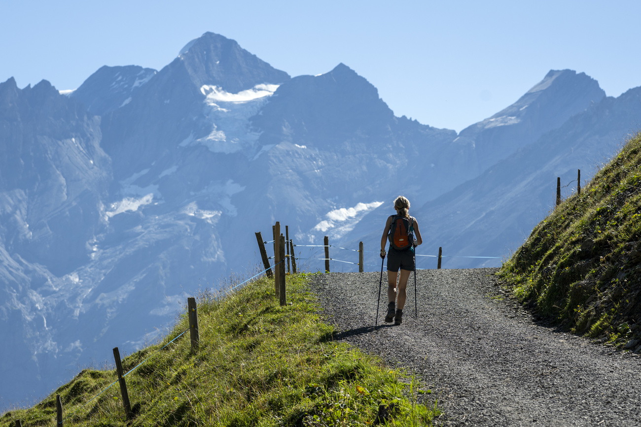 Woman hiking in the Swiss Alps