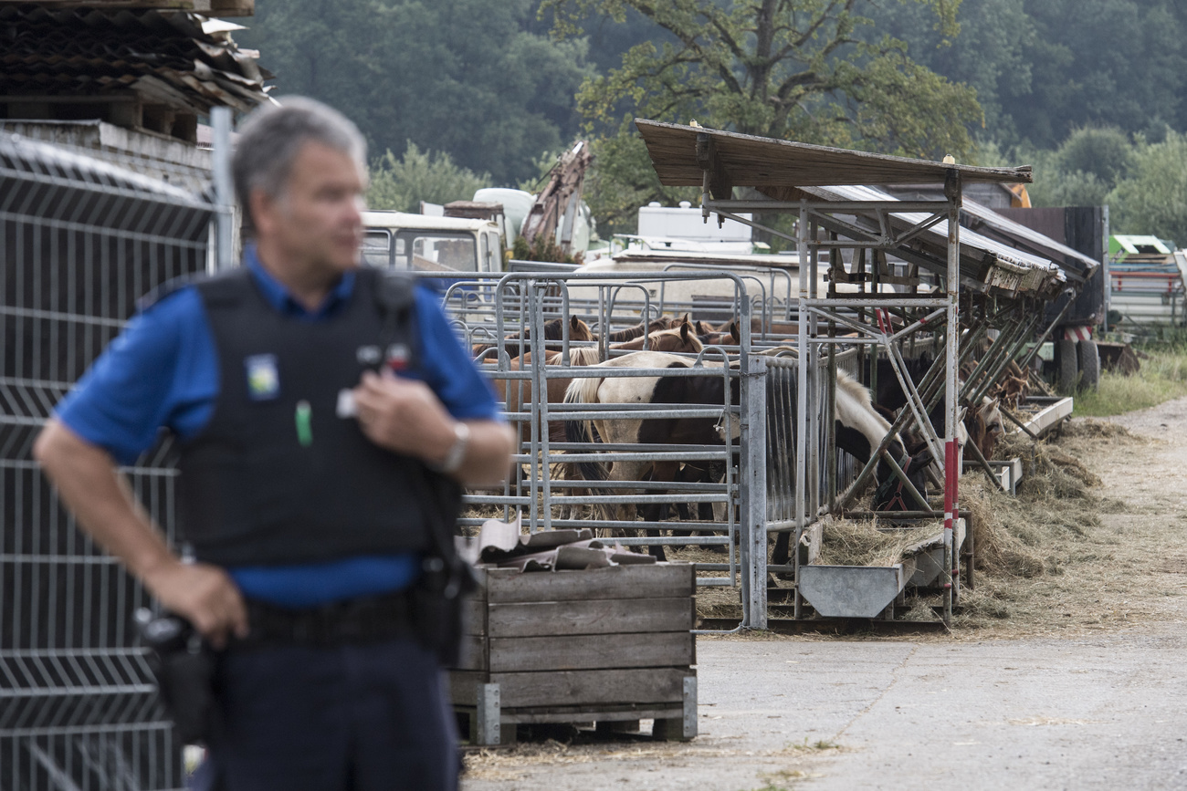 Un agente durante le operazioni di sgombero della fattoria incriminata.