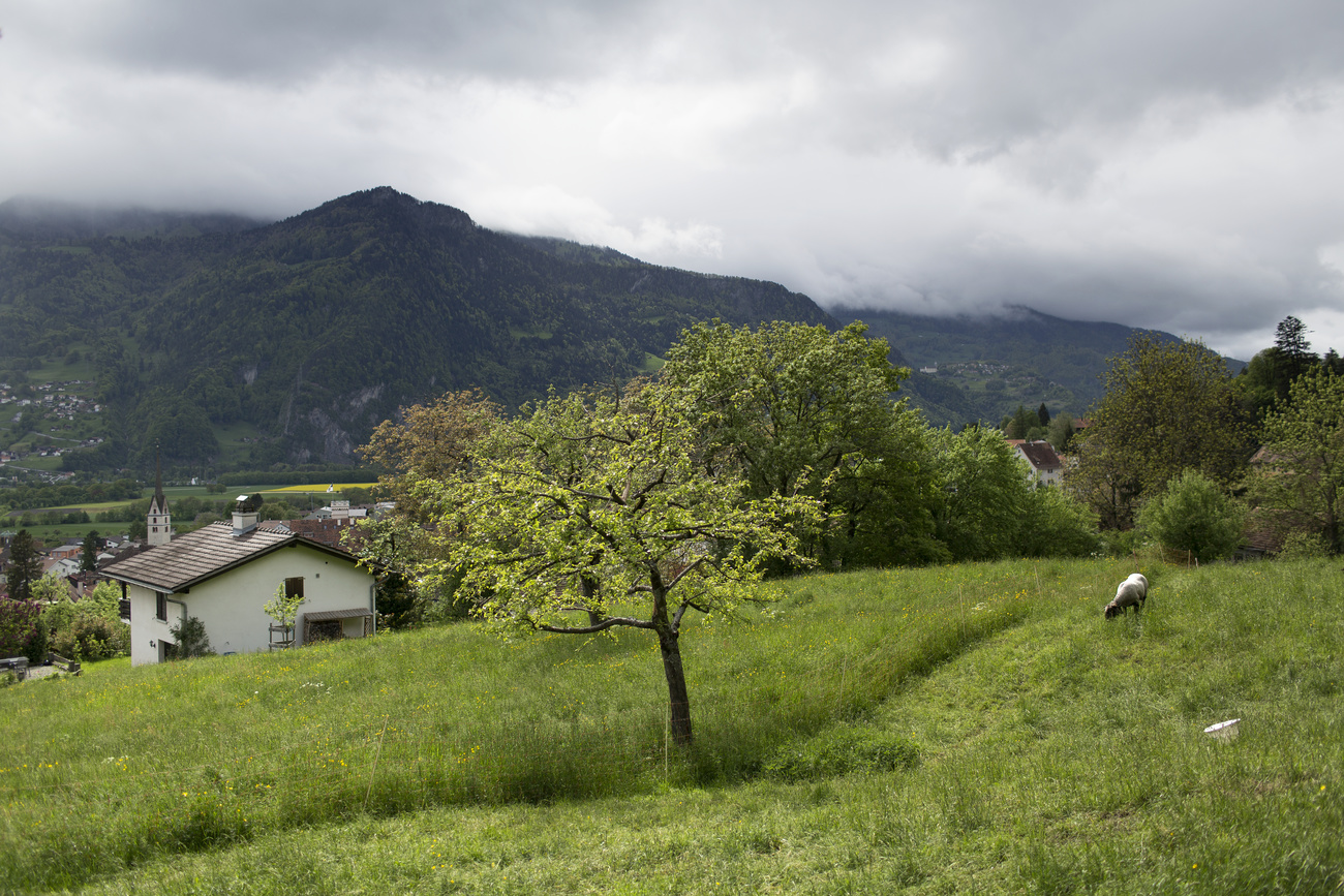 瑞士房价的增长速度大幅超过工资的增长速度，许多瑞士人的买房梦遥遥无期。