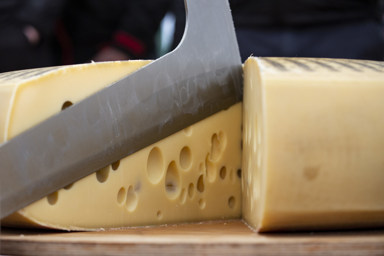 Ein Emmentaler Käse mit den typischen Löchern wird angeschnitten
