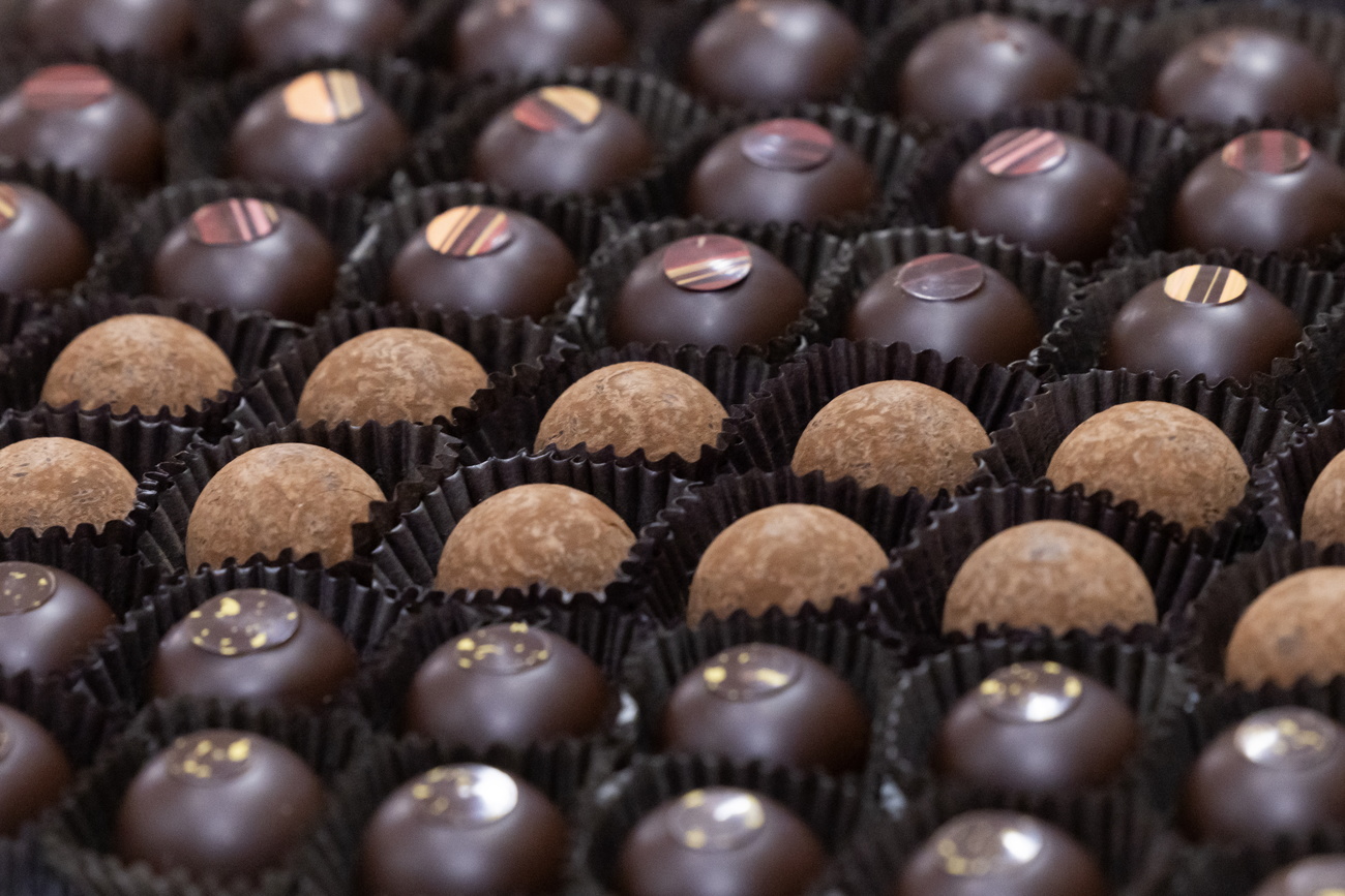 瑞士是巧克力之国，但可可豆并不来自瑞士。