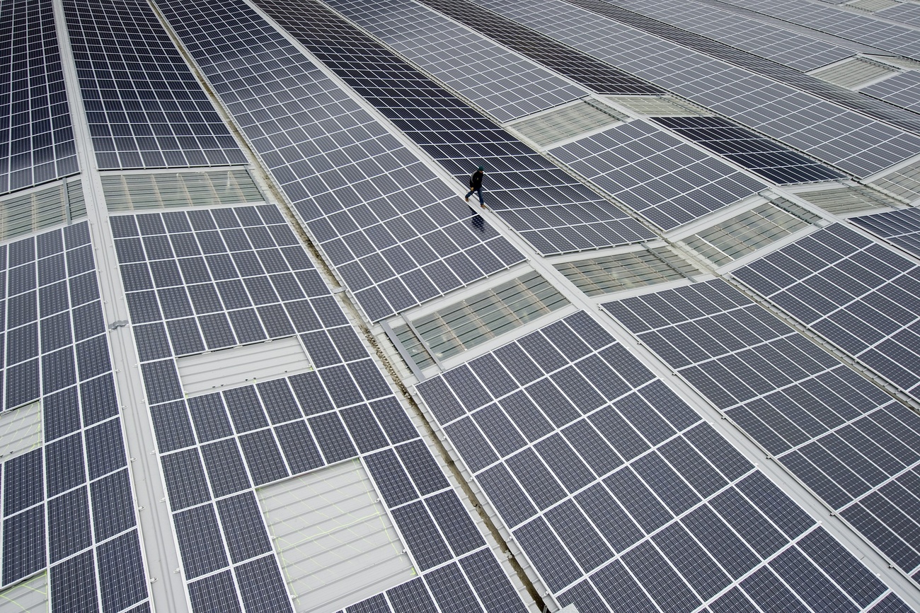 A person is shown walking among a large installation of solar panels.