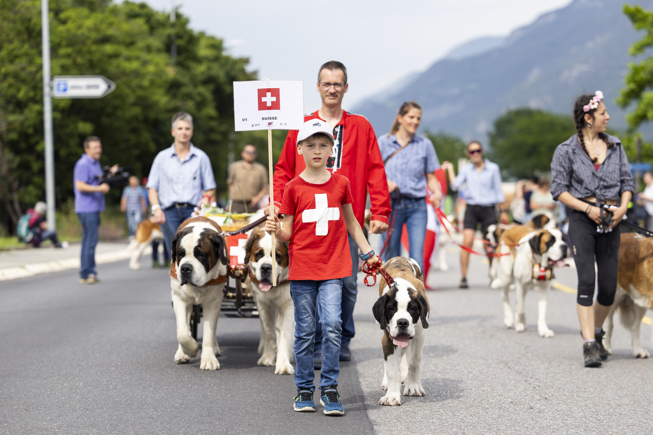 Hundreds of Saint Bernard dogs gather in Switzerland for world competition