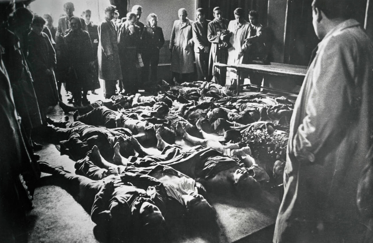 Bodies of those killed in Budapest in 1956.