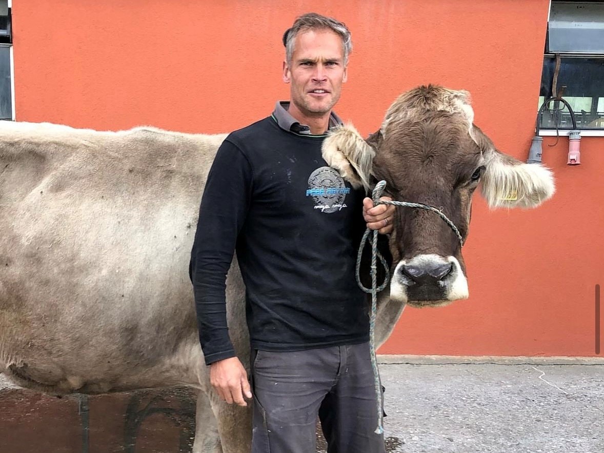 Renzo Blumenthal accanto a una mucca