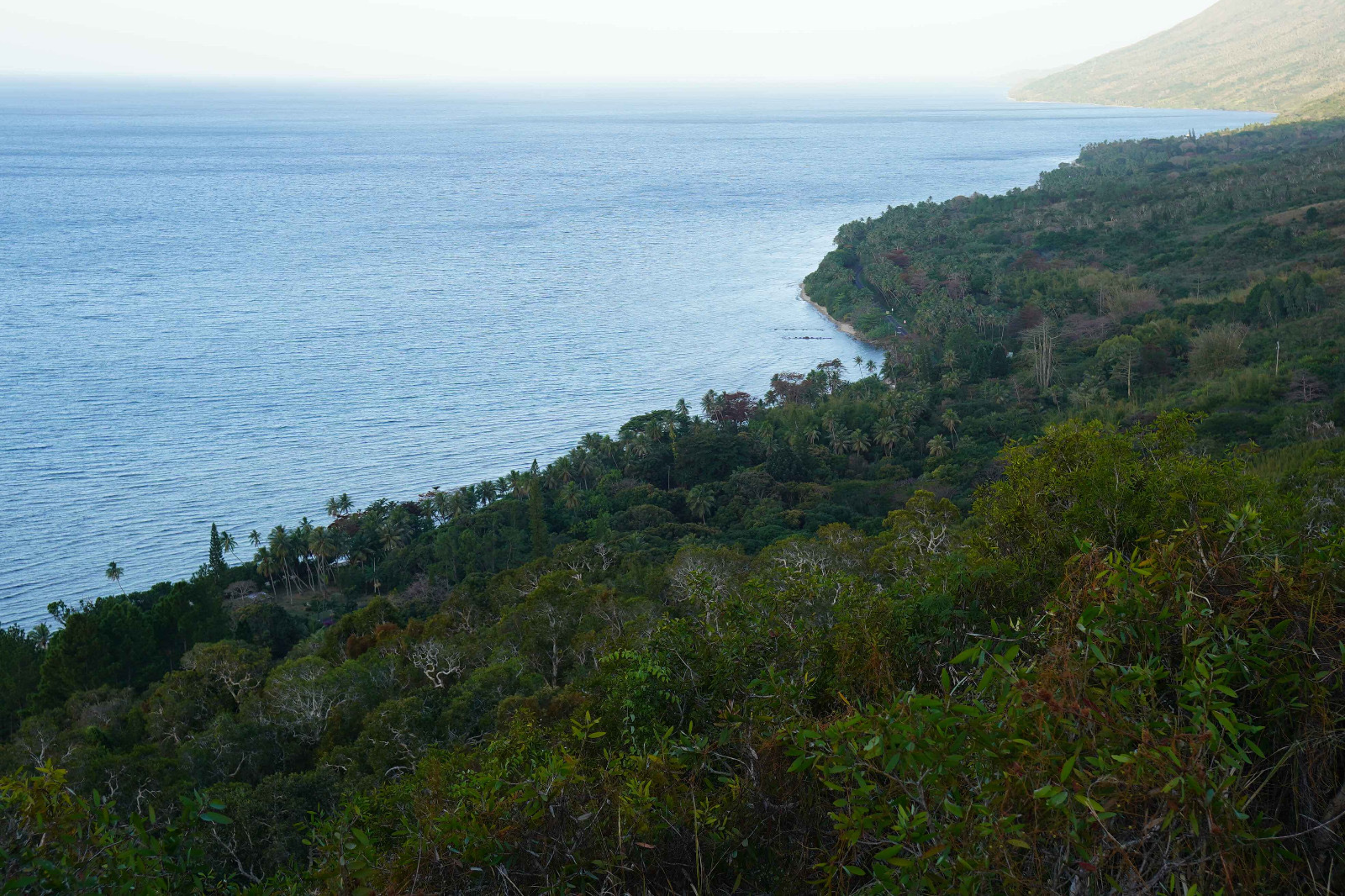 bewaldete Küste in Neukaledonien