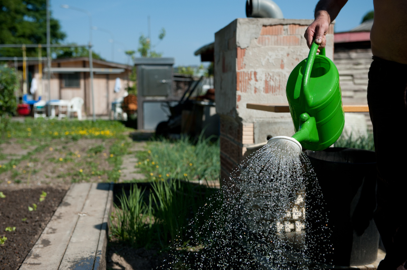 giardini urbani