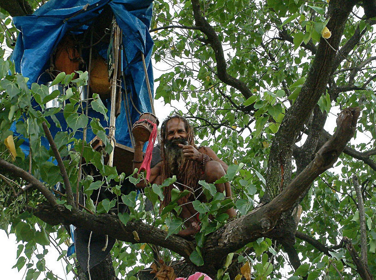 Sadhu Adbangnath, a Hindu priest, in a tree where he has made his home in Bombay. He has been living here for a month in a unique protest, after a builder demolished a temple where he would pray.