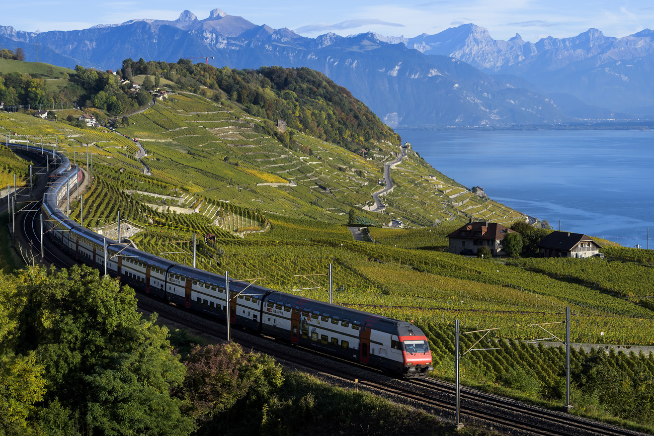 Un treno percorre lungo le vigne del Lavaux nel canton Vaud.