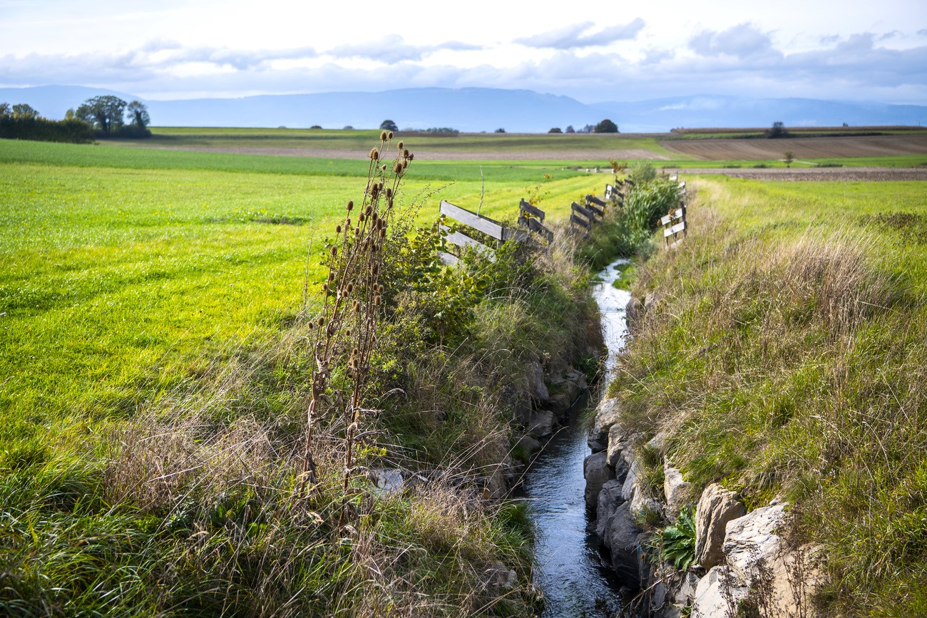 Many streams in Switzerland have traces of pesticides and other pollutants.