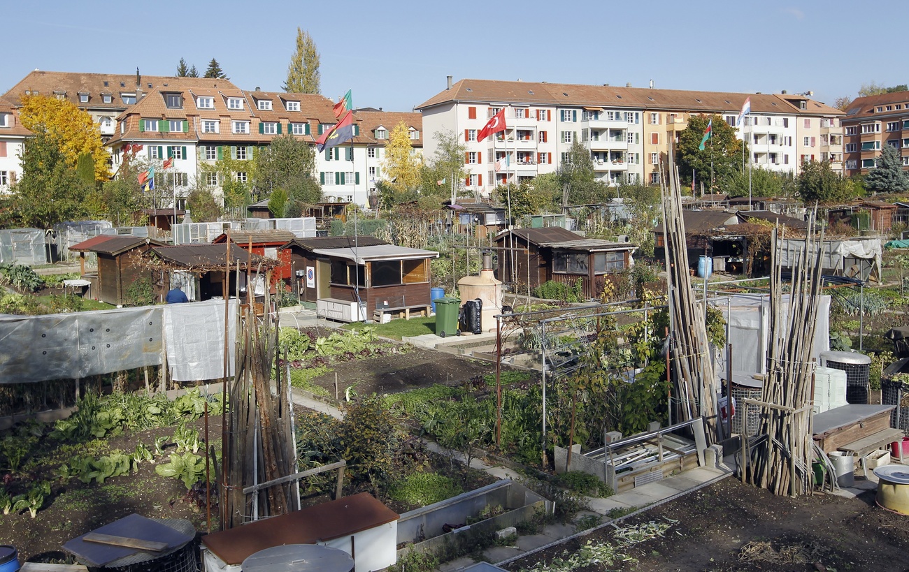 giardini urbani