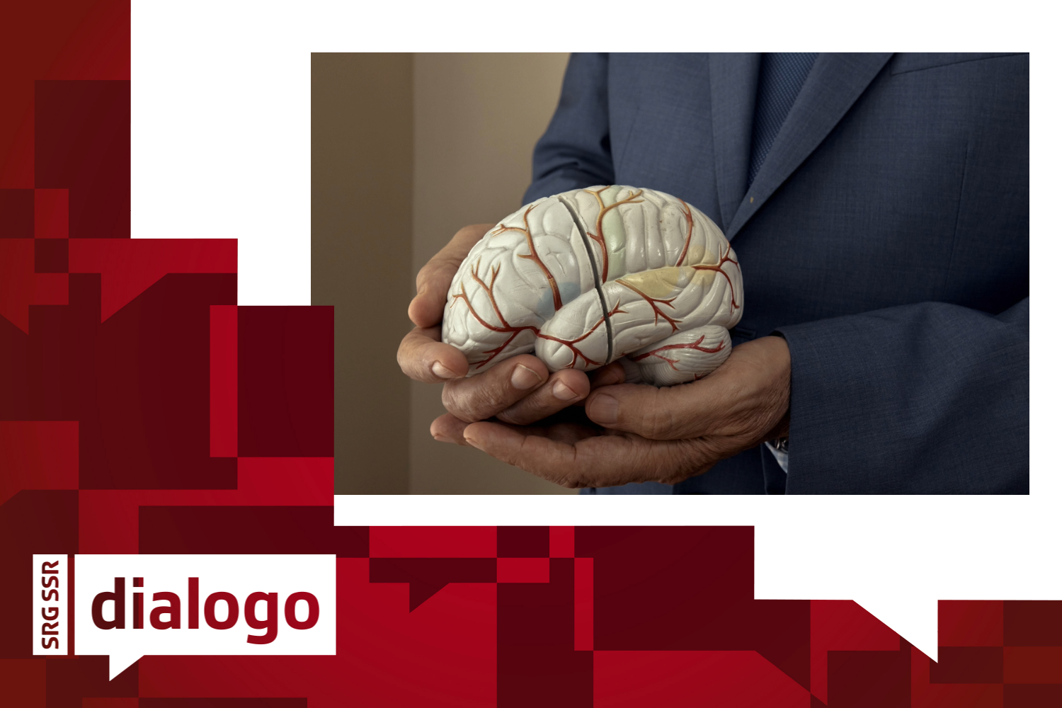 Il modello di un cervello nelle mani dello psichiatra Fernando Taveras.