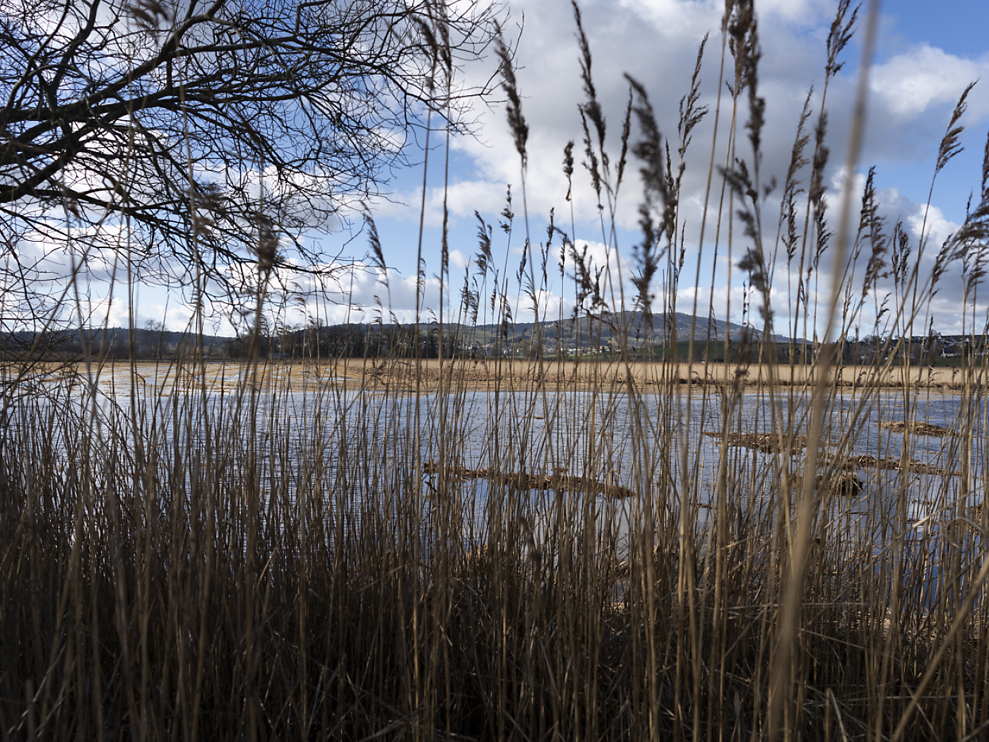 Over 100 scientists concerned about biodiversity in Switzerland