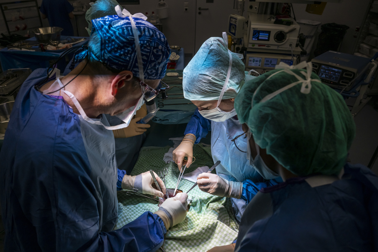 Le personnel d'un bloc operatoire, procedent a une transplantation apres avoir fait un prelevement sur un donneur vivant d'un rein, dans un bloc operatoire des Hopitaux Universitaires de Geneve (HUG).