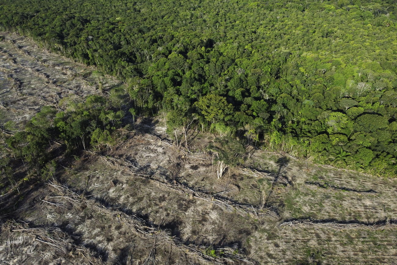 Für die Landwirtschaft abgeholzte Waldflächen im brasilianischen Bundesstaat Para.