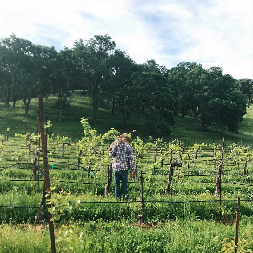 Hans Herren nella sua fattoria biologica in California.