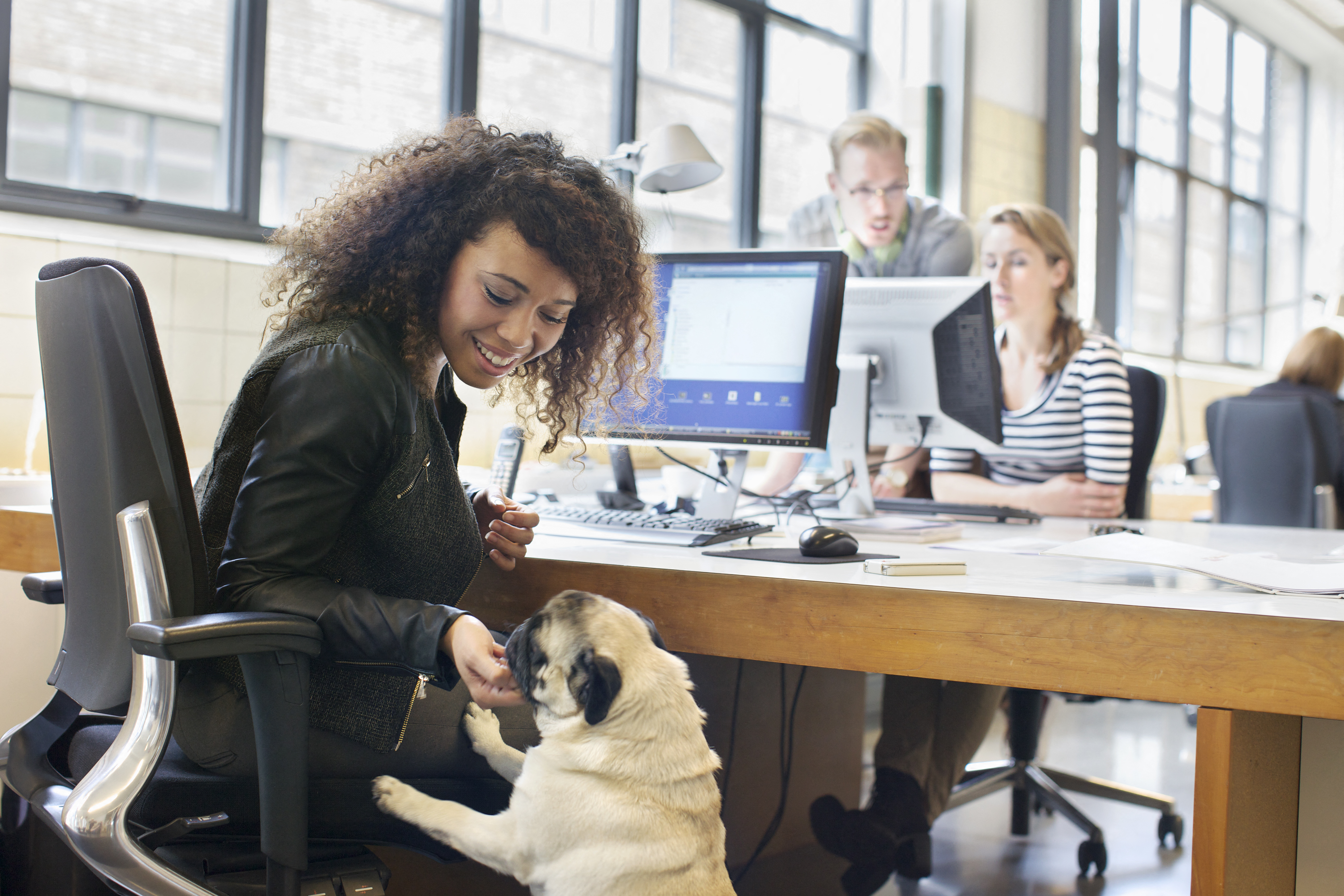 Junge Frau streichelt Hund am Bürotisch